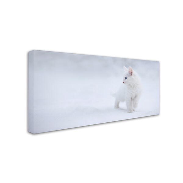 Esmee Prexus 'White As Snow' Canvas Art,16x32